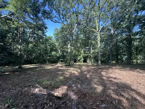 000 N Highway 9 Hwy, Mammoth Spring, AR 72554 photo 13