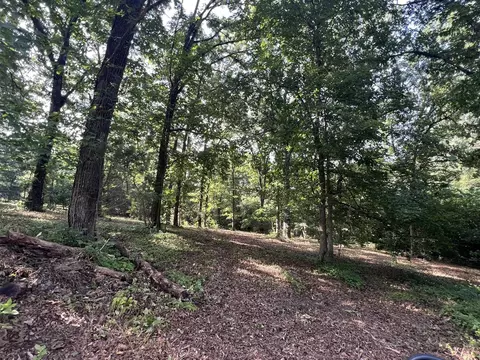 000 N Highway 9 Hwy, Mammoth Spring, AR 72554 photo 8