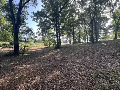 000 N Highway 9 Hwy, Mammoth Spring, AR 72554 photo 7