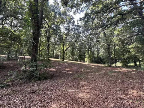 000 N Highway 9 Hwy, Mammoth Spring, AR 72554 photo 6