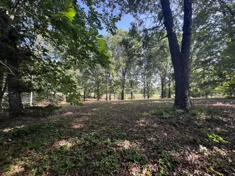 000 N Highway 9 Hwy, Mammoth Spring, AR 72554 photo 15