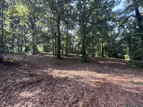 000 N Highway 9 Hwy, Mammoth Spring, AR 72554 photo 5