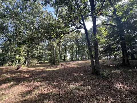 000 N Highway 9 Hwy, Mammoth Spring, AR 72554 photo 11