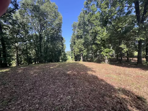 000 N Highway 9 Hwy, Mammoth Spring, AR 72554 photo 3