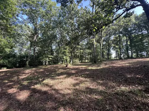 000 N Highway 9 Hwy, Mammoth Spring, AR 72554 photo 10
