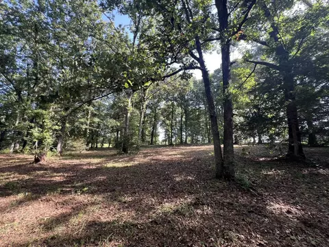000 N Highway 9 Hwy, Mammoth Spring, AR 72554 photo 12