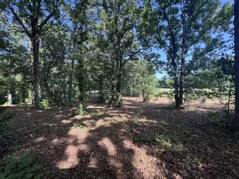 000 N Highway 9 Hwy, Mammoth Spring, AR 72554 photo 20