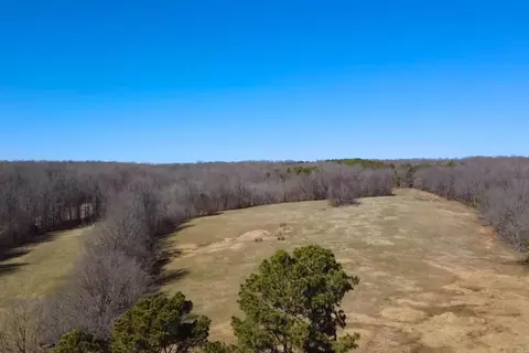 Other - 303 County Road 401, Rector, AR 72461 photo 10 of 15