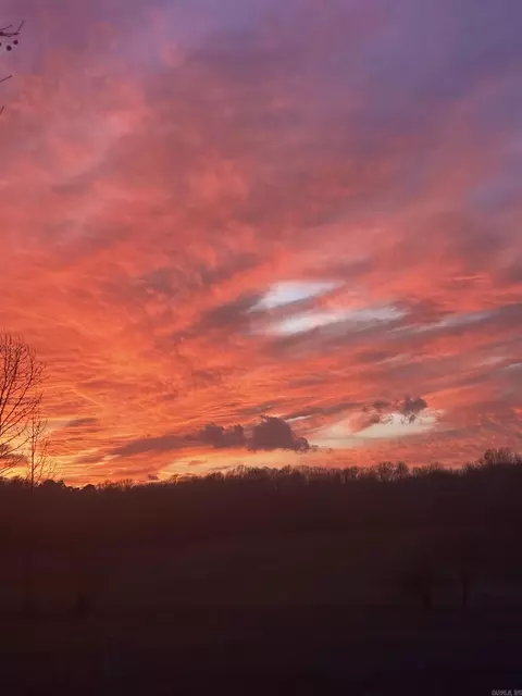 Other - 303 County Road 401, Rector, AR 72461 photo 5 of 15