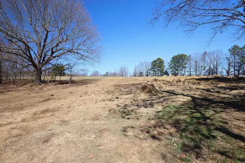 Other - 303 County Road 401, Rector, AR 72461 photo 8 of 15