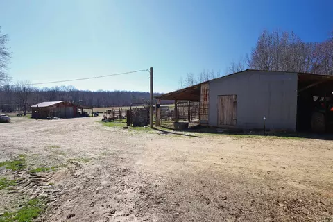 Exterior - 303 County Road 401, Rector, AR 72461 photo 10 of 11