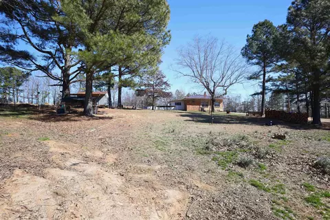 Exterior - 303 County Road 401, Rector, AR 72461 photo 9 of 11