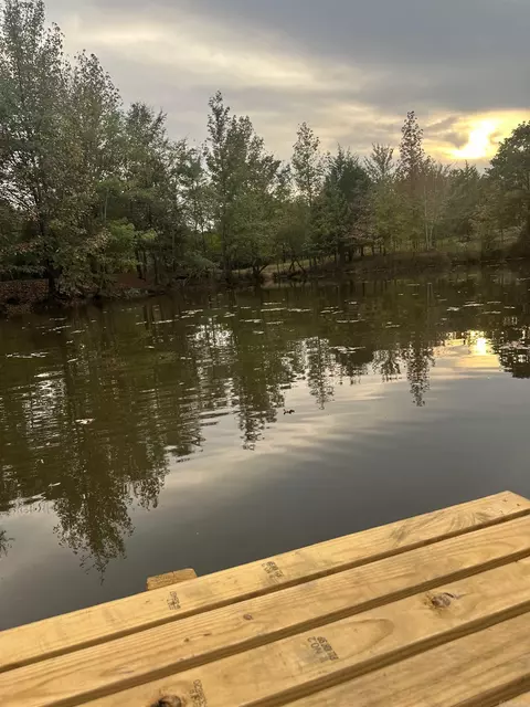 View/Area - 303 County Road 401, Rector, AR 72461 photo 1 of 2