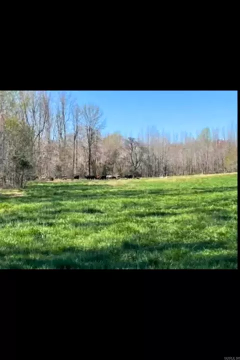Other - 303 County Road 401, Rector, AR 72461 photo 15 of 15