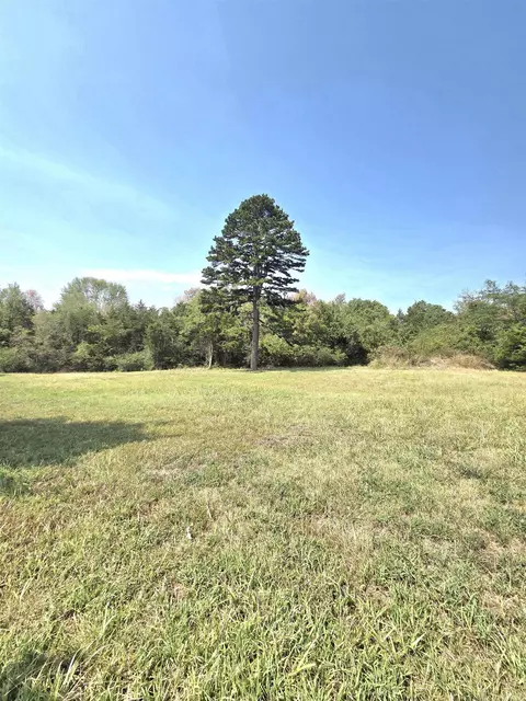 Other - 201 Whitfield Ave, Mountain View, AR 72560 photo 2 of 18