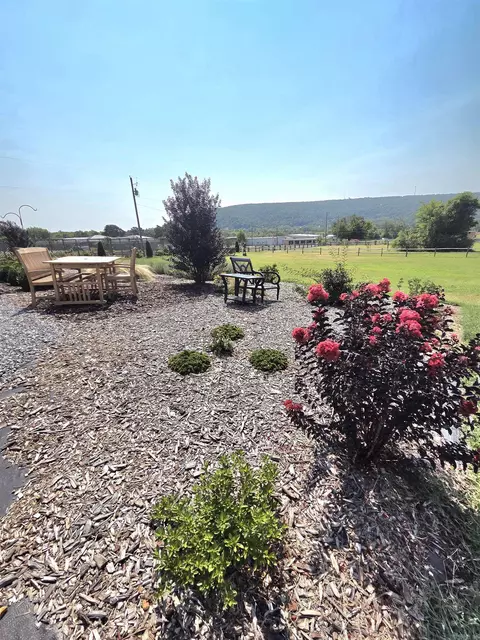 Exterior - 201 Whitfield Ave, Mountain View, AR 72560 photo 6 of 11