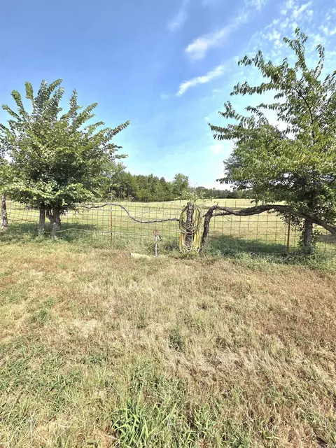 Exterior - 201 Whitfield Ave, Mountain View, AR 72560 photo 8 of 11