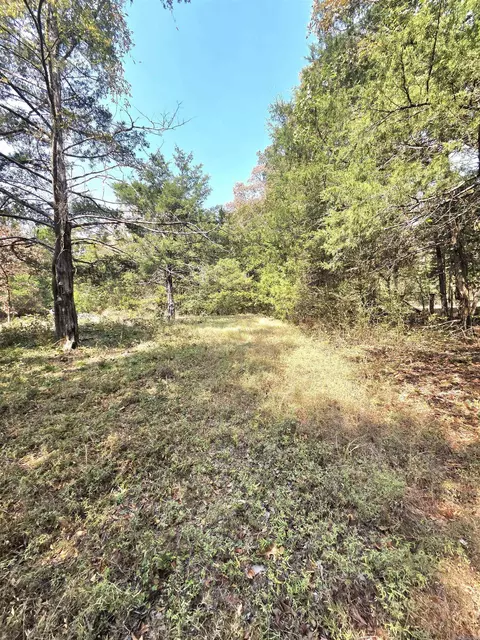 Other - 201 Whitfield Ave, Mountain View, AR 72560 photo 5 of 18