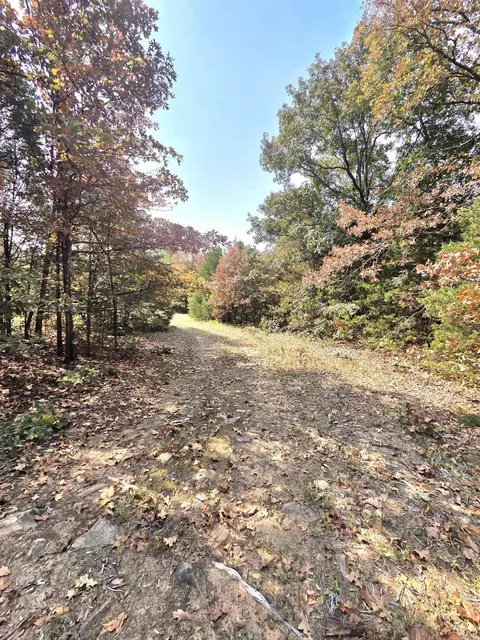 Other - 201 Whitfield Ave, Mountain View, AR 72560 photo 4 of 18