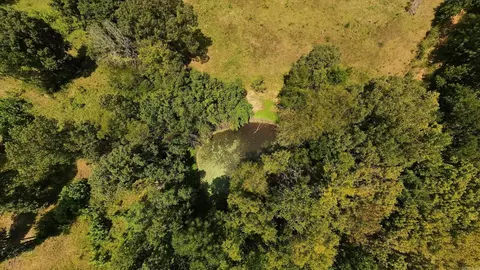 000 Bamber Rd, Mammoth Spring, AR 72554 photo 28