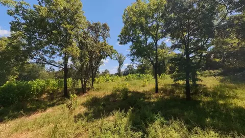 000 Bamber Rd, Mammoth Spring, AR 72554 photo 22