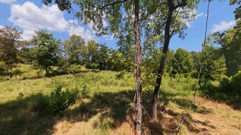 000 Bamber Rd, Mammoth Spring, AR 72554 photo 23