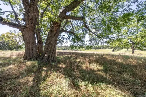 000 Bamber Rd, Mammoth Spring, AR 72554 photo 39