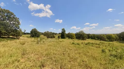 000 Bamber Rd, Mammoth Spring, AR 72554 photo 18
