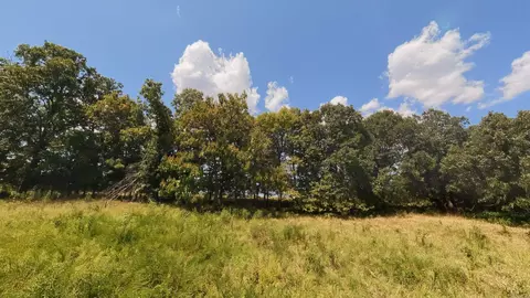 000 Bamber Rd, Mammoth Spring, AR 72554 photo 17