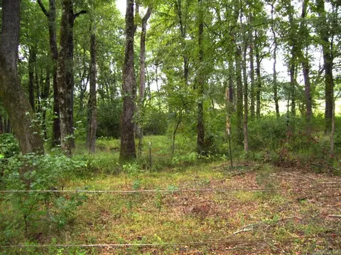 201 Lr 725, Ashdown, AR 71822 photo 8