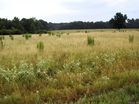 201 Lr 725, Ashdown, AR 71822 photo 2