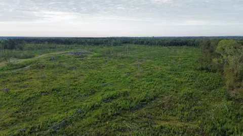 001 Chandler Rd, Glen Rose, AR 72104 photo 6