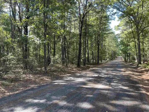 452 Kustrin Dr, Drasco, AR 72530 photo 7