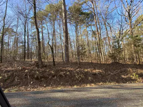452 Kustrin Dr, Drasco, AR 72530 photo 9