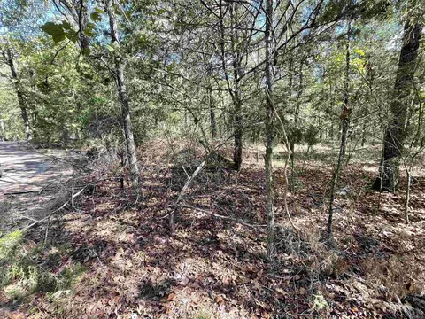 452 Kustrin Dr, Drasco, AR 72530 photo 5