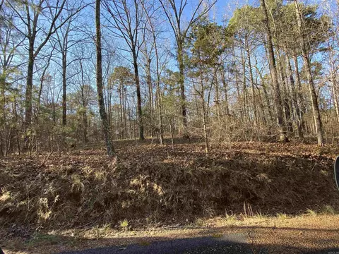 452 Kustrin Dr, Drasco, AR 72530 photo 8