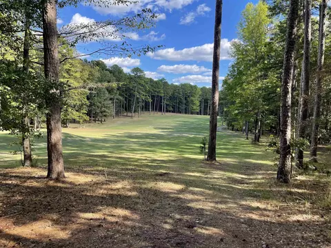 452 Kustrin Dr, Drasco, AR 72530 photo 2