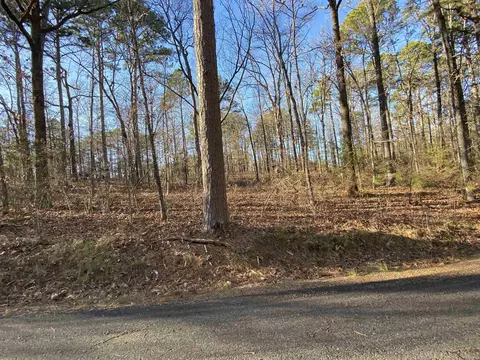 452 Kustrin Dr, Drasco, AR 72530 photo 10