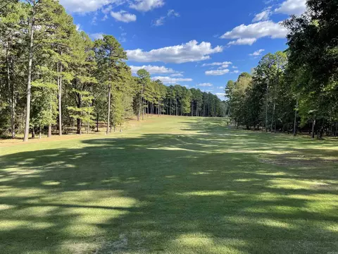 452 Kustrin Dr, Drasco, AR 72530 photo 3