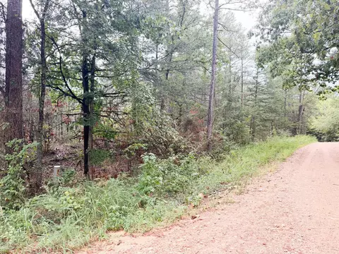 3 Spring Creed Rd, Calico Rock, AR 72519