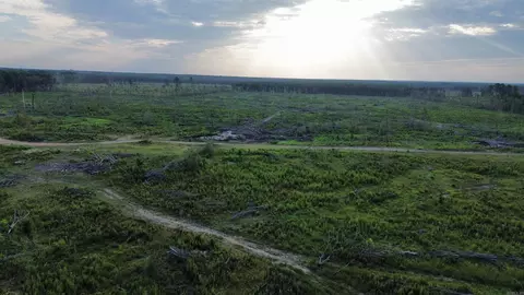 004 Chandler Rd, Glen Rose, AR 72104 photo 14