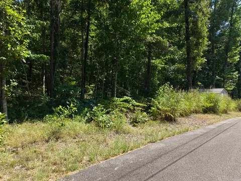 0 White St, Clinton, AR 72031 photo 19