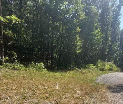 0 White St, Clinton, AR 72031 photo 22
