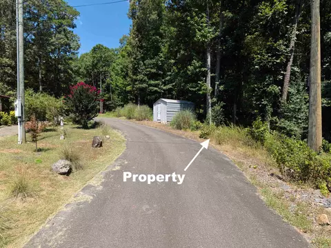 0 White St, Clinton, AR 72031 photo 14