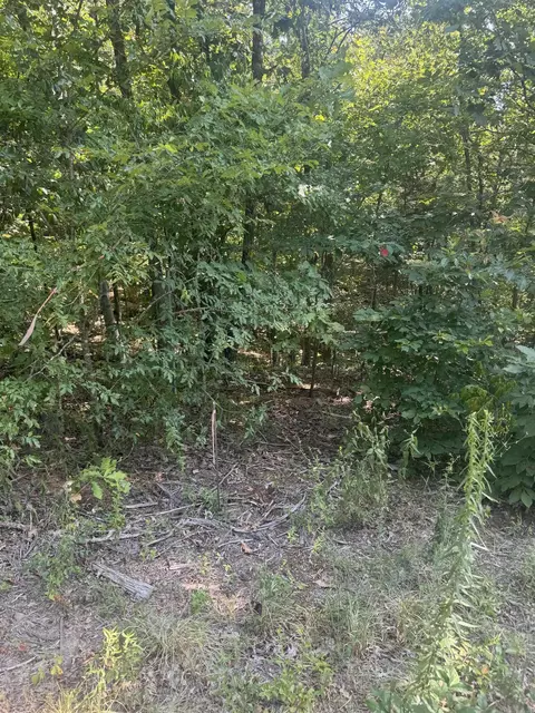 0 White St, Clinton, AR 72031 photo 21