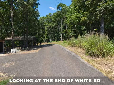 0 White St, Clinton, AR 72031 photo 16