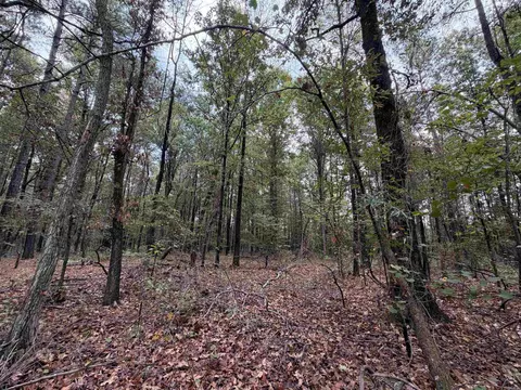 000 Smith Rd, Woodlawn, AR 71665 photo 5