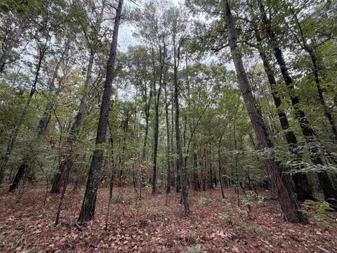 000 Smith Rd, Woodlawn, AR 71665 photo 3