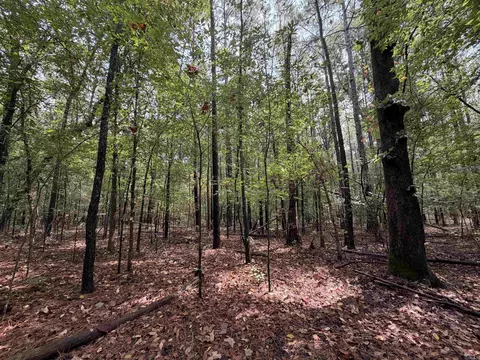 000 Smith Rd, Woodlawn, AR 71665 photo 4