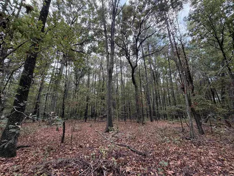 000 Smith Rd, Woodlawn, AR 71665 photo 6